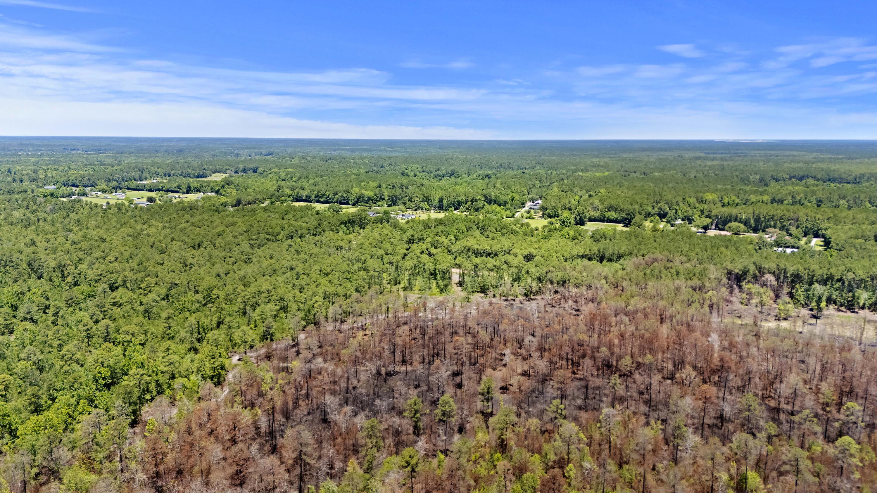543 Campbell Road Ridgeville, SC 29472 - Photo 49 of 50 DJI_20260603125318_0066_D