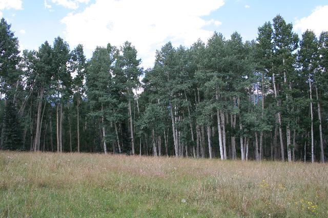 1 Raspberry Patch Road Telluride, CO 81435 - Photo 2 of 8 Additional Photo