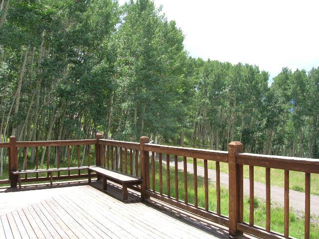 1 Raspberry Patch Road Telluride, CO 81435 - Photo 4 of 8 Additional Photo