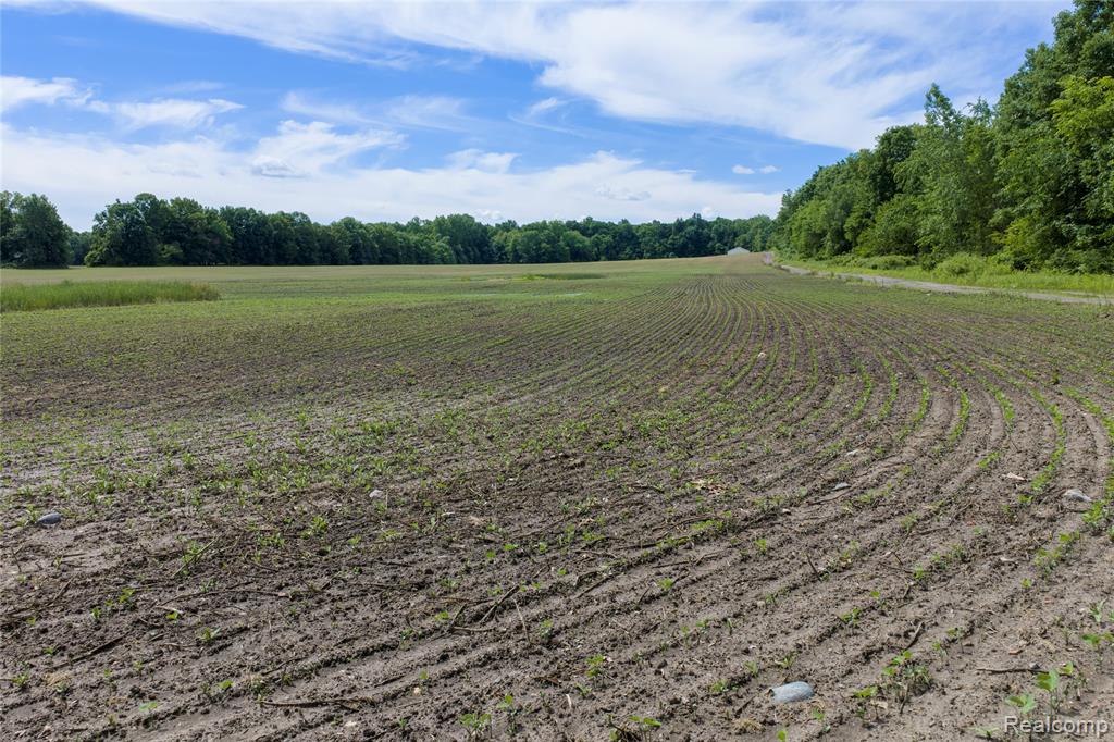 10069 Silver Lake Road Linden, MI 48451 - Photo 12 of 28
