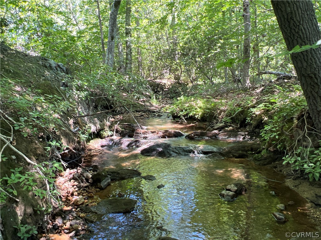 Tbd Twin Creek Road Buckingham, VA 23921 - Photo 1 of 50 a view of a forest with lots of trees