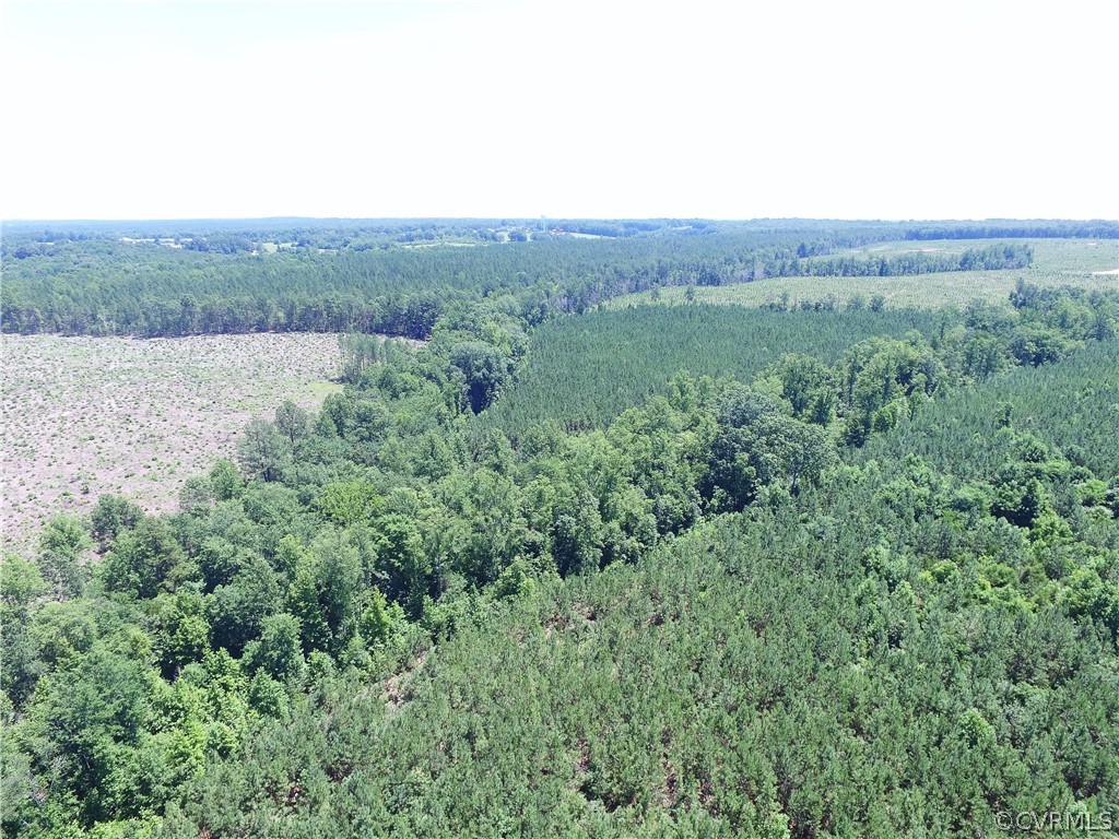 Tbd Twin Creek Road Buckingham, VA 23921 - Photo 24 of 50 an aerial view of forest