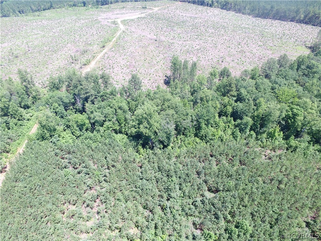Tbd Twin Creek Road Buckingham, VA 23921 - Photo 25 of 50 a view of a yard with a plant
