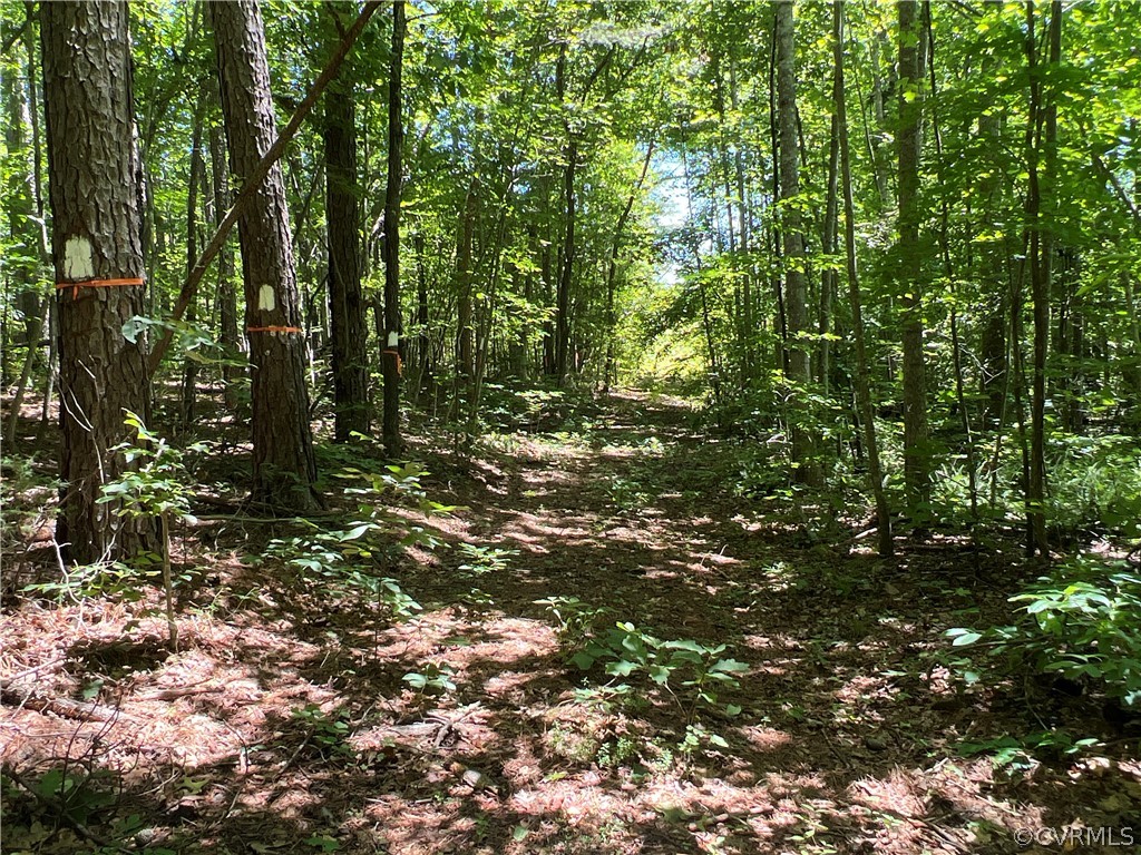 Tbd Twin Creek Road Buckingham, VA 23921 - Photo 32 of 50 a view of outdoor space and green space