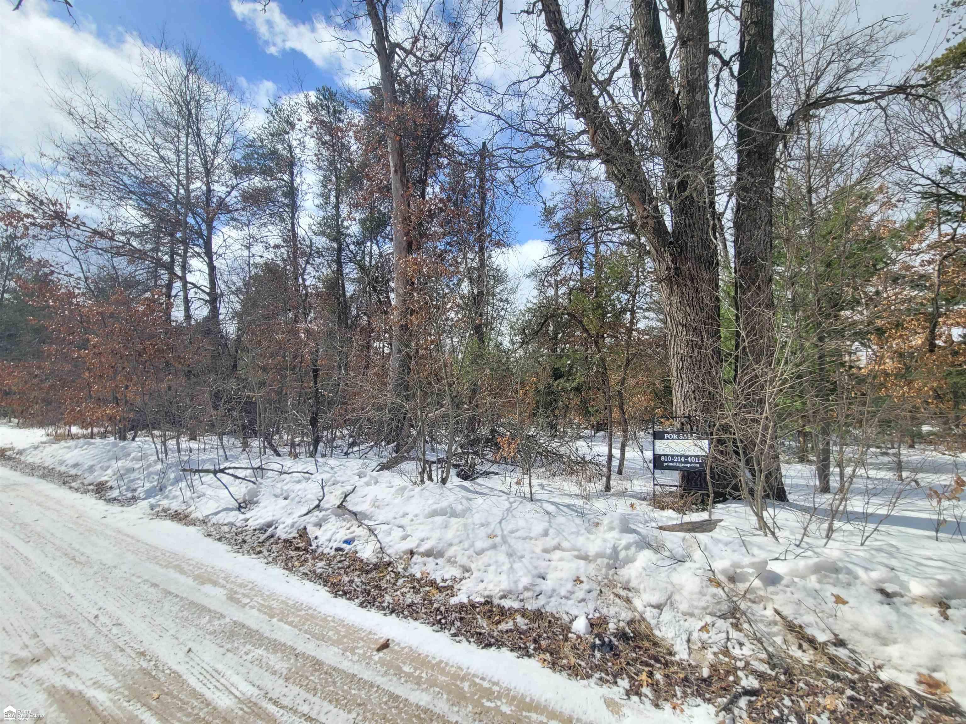 V/l Edith Schneider Road Harrison, MI 48625 - Photo 6 of 7