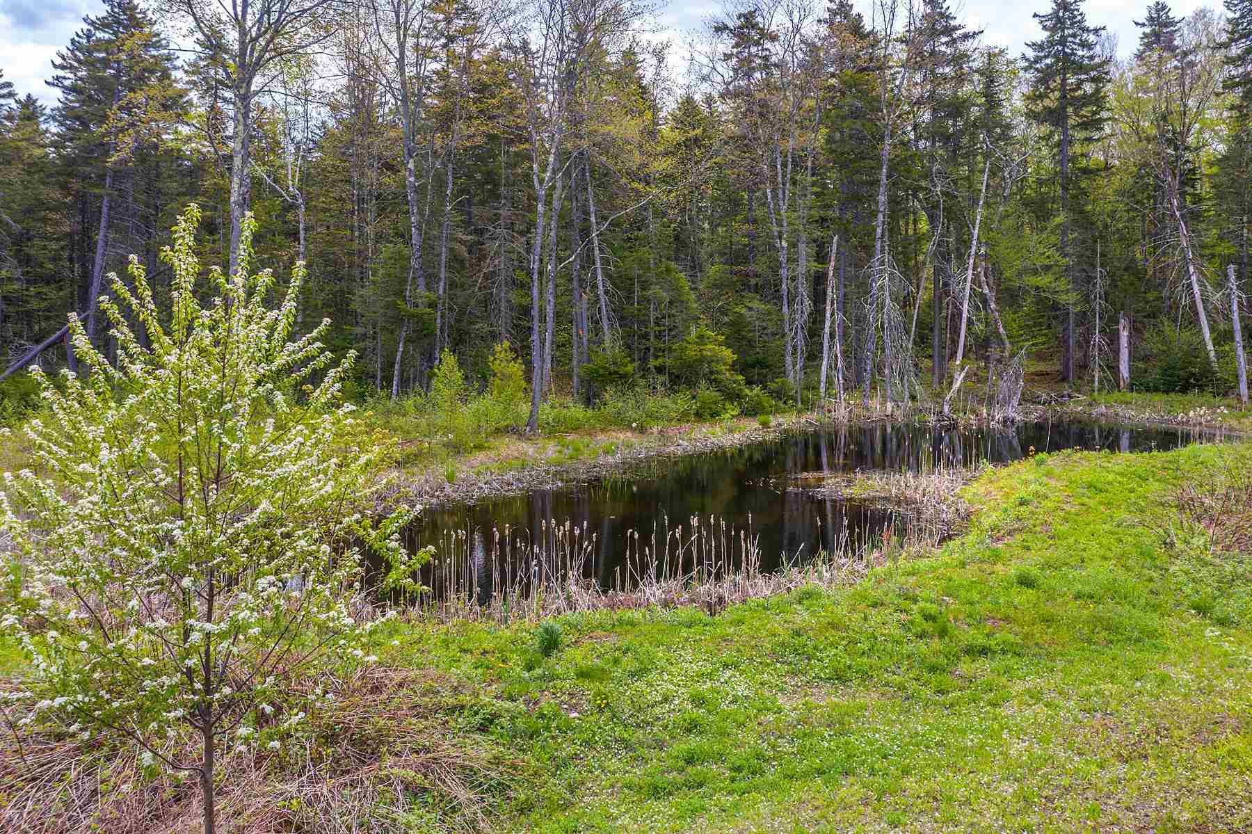 1000 Burbee Pond Road Windham, VT 05359 - Photo 29 of 38