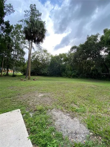 a view of a garden with a tree