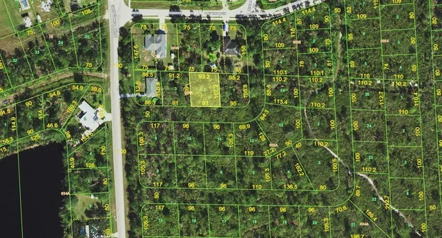 a close up of a plant in a garden