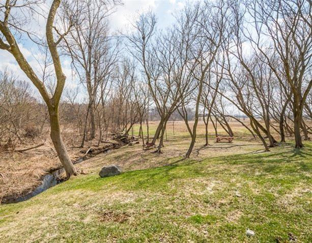 13619 Pheasant Ridge Court Chelsea, MI 48118 - Photo 13 of 57 Photo 13