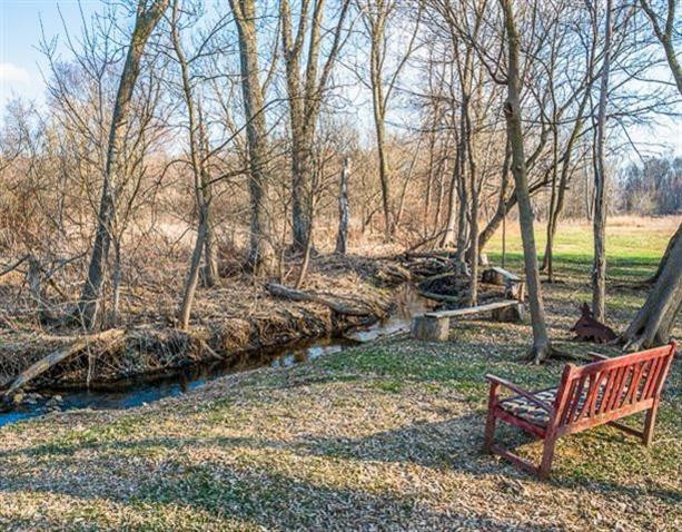 13619 Pheasant Ridge Court Chelsea, MI 48118 - Photo 16 of 57 Photo 16