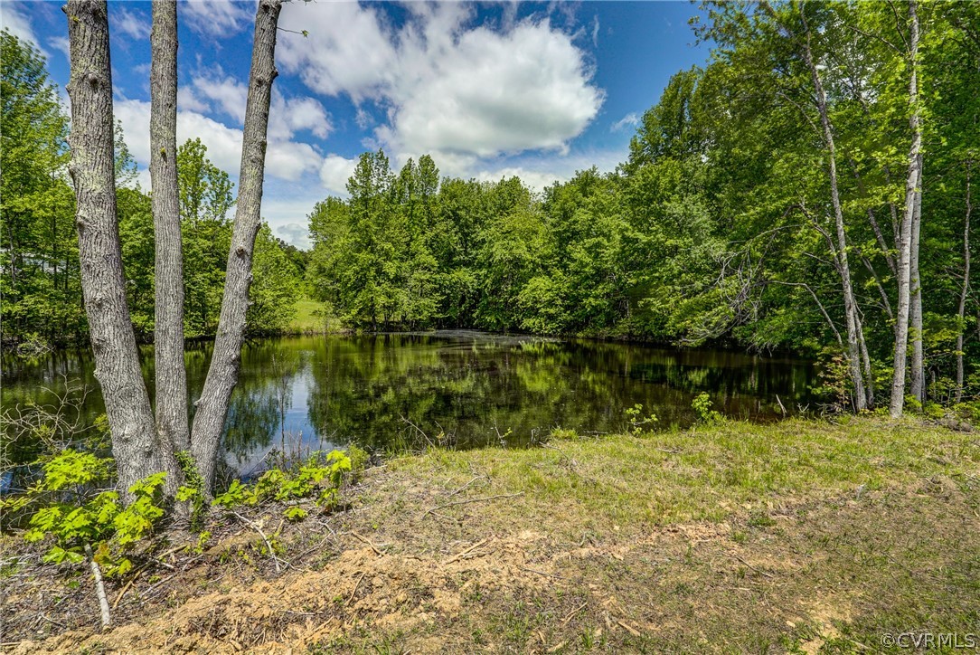 2950 Three Chopt Road Gum Spring, VA 23065 - Photo 32 of 46