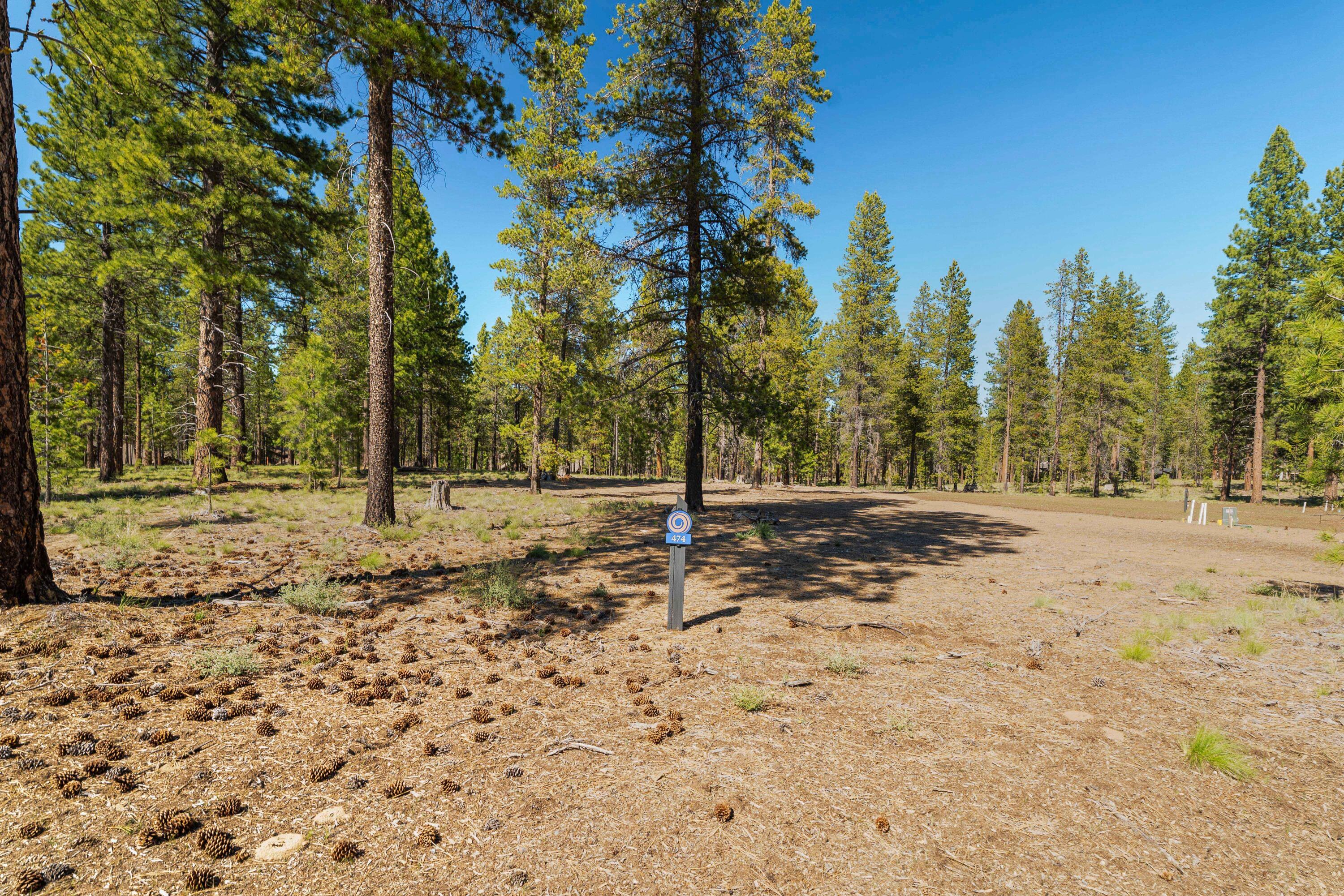 Preservation Loop Bend, Unit 474 Bend, OR 97707 - Photo 2 of 34 DSC00309