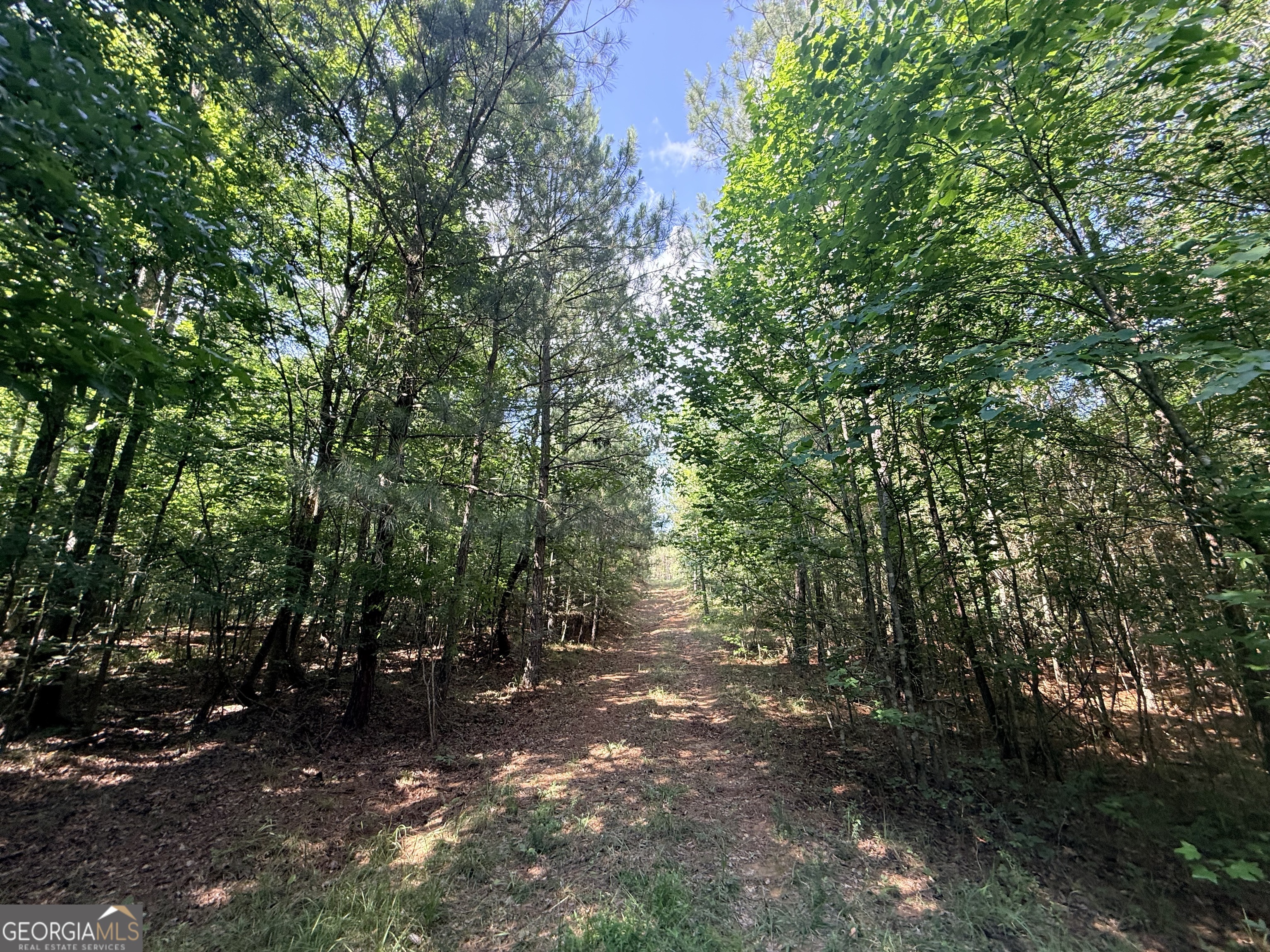 2 Bethesda Church Road Lexington, GA 30648 - Photo 35 of 66