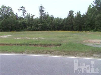 0 Cemetery Road Riegelwood, NC 28456 - Photo 1 of 5 Primary Photo