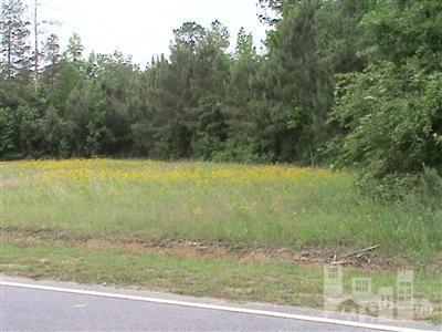 0 Cemetery Road Riegelwood, NC 28456 - Photo 2 of 5 Additional Photo