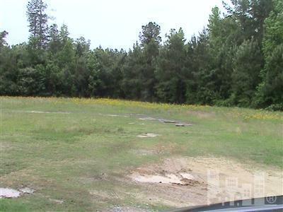 0 Cemetery Road Riegelwood, NC 28456 - Photo 4 of 5 Additional Photo