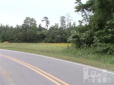 0 Cemetery Road Riegelwood, NC 28456 - Photo 5 of 5 Additional Photo