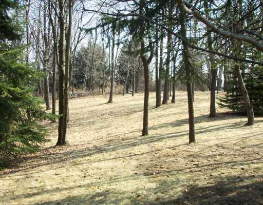 252 McKenzie Road Clinton, PA 15026 - Photo 14 of 15 Yard/Garden.