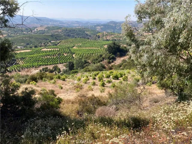 a view of a yard with a garden