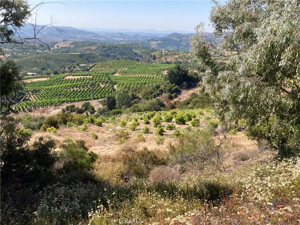 37 El Calamar Road Temecula, CA 92590 - Photo 4 of 6 a view of a yard with a garden