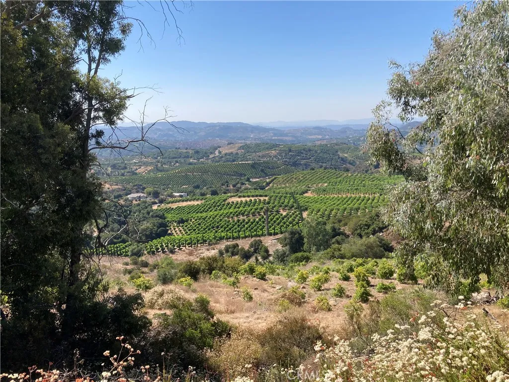 37 El Calamar Road Temecula, CA 92590 - Photo 5 of 6 a view of a pathway with a yard