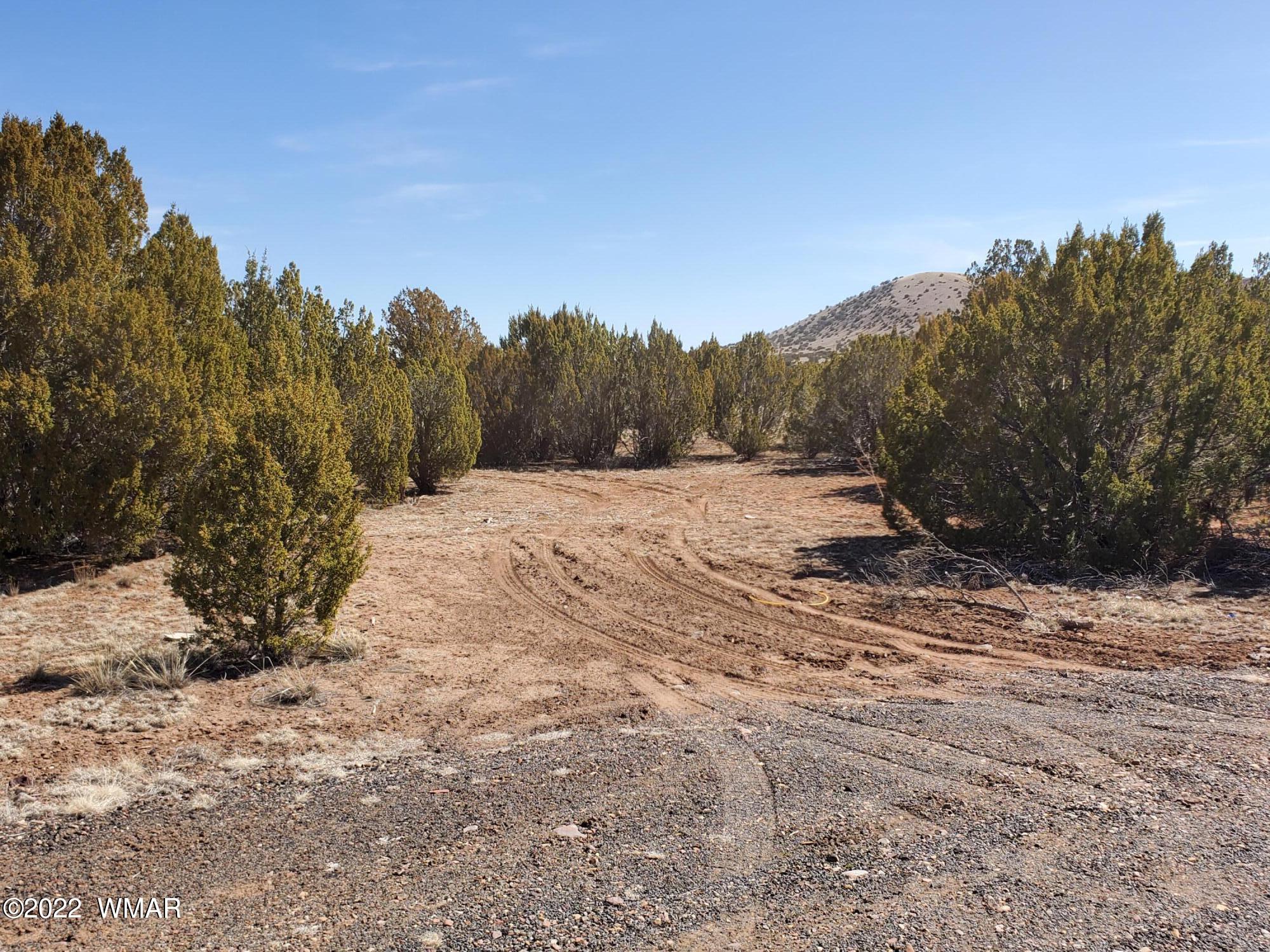 70 County Road Concho, AZ 85924 - Photo 1 of 20