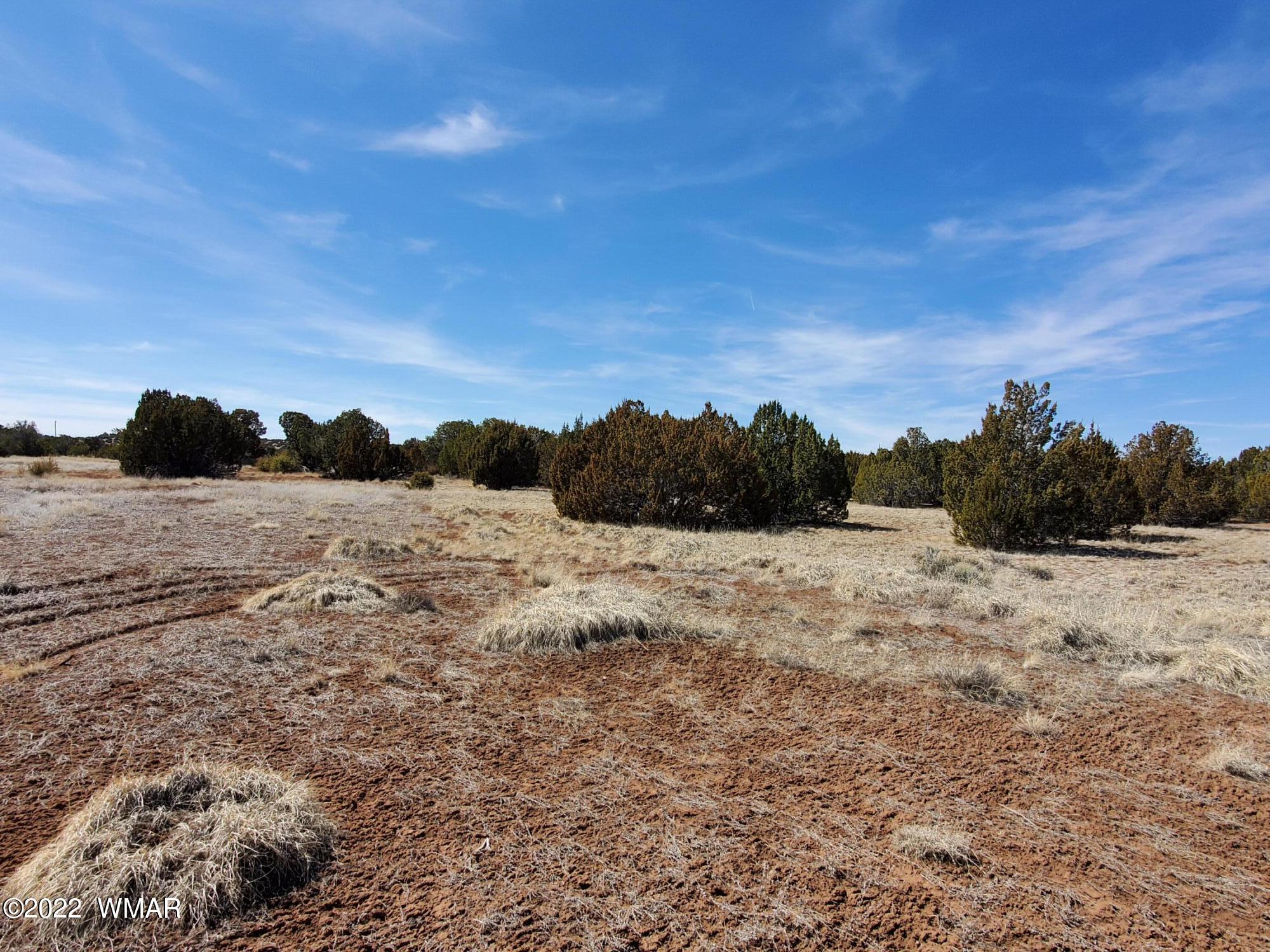 70 County Road Concho, AZ 85924 - Photo 11 of 20