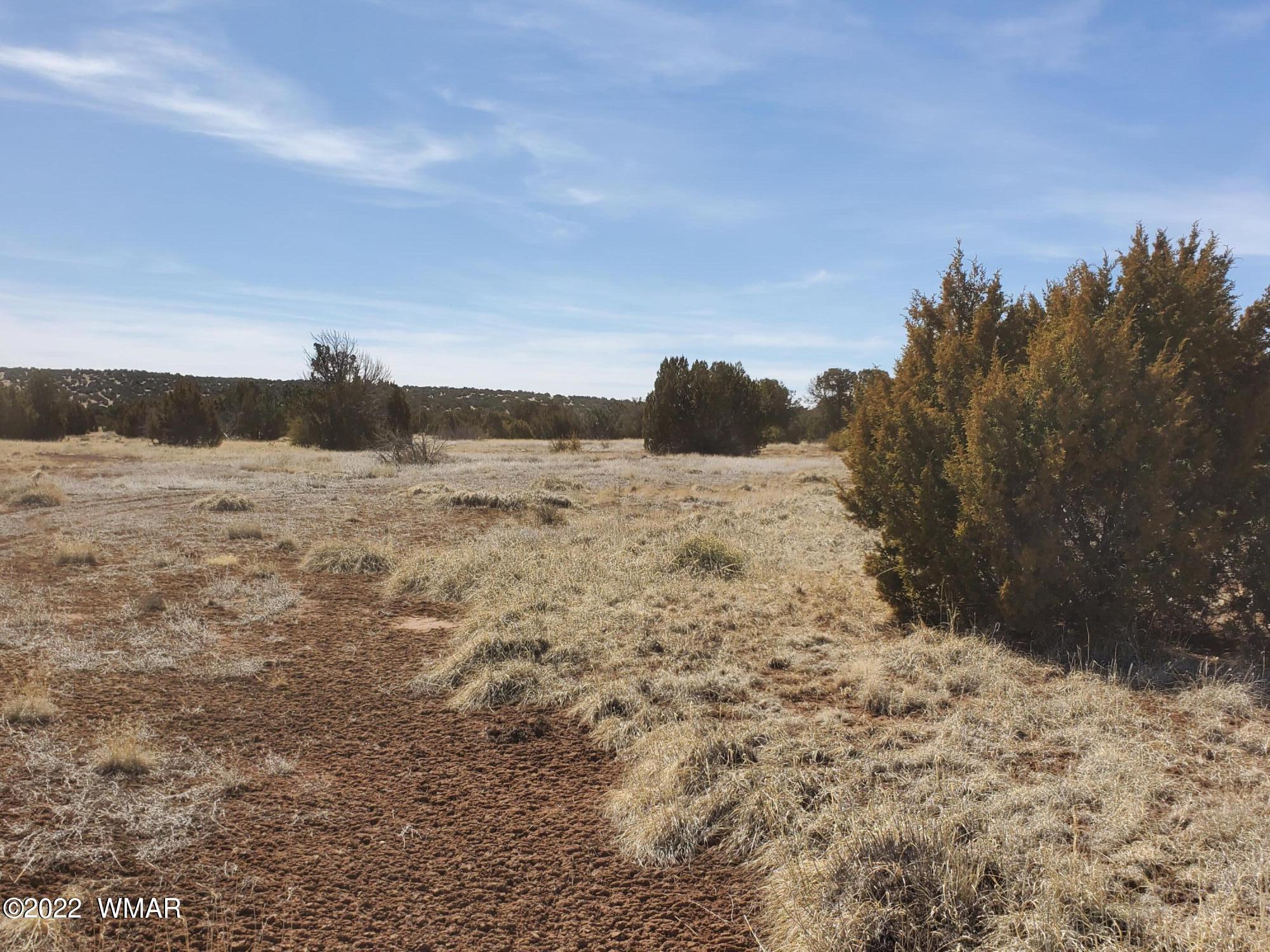 70 County Road Concho, AZ 85924 - Photo 12 of 20