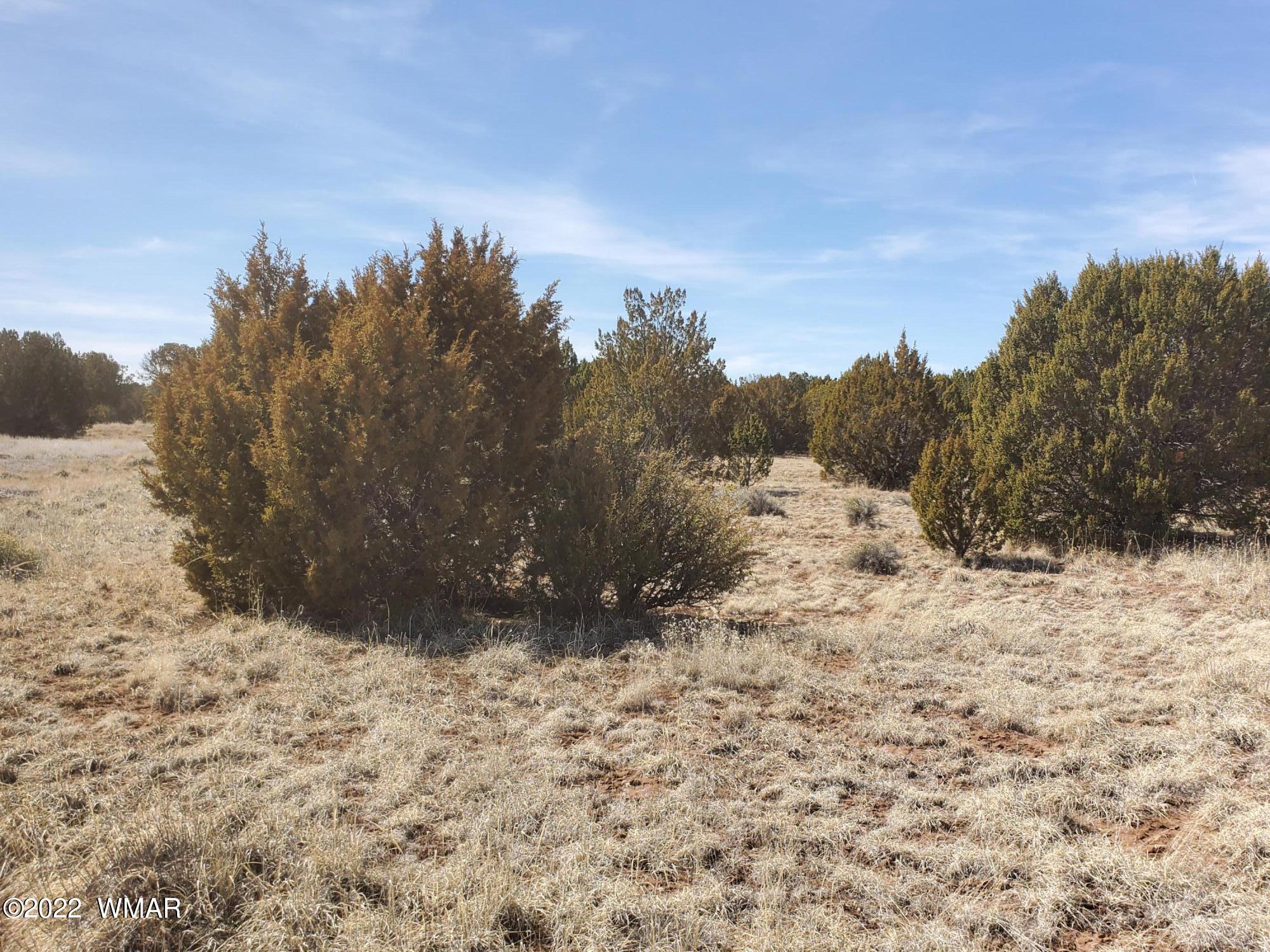 70 County Road Concho, AZ 85924 - Photo 13 of 20