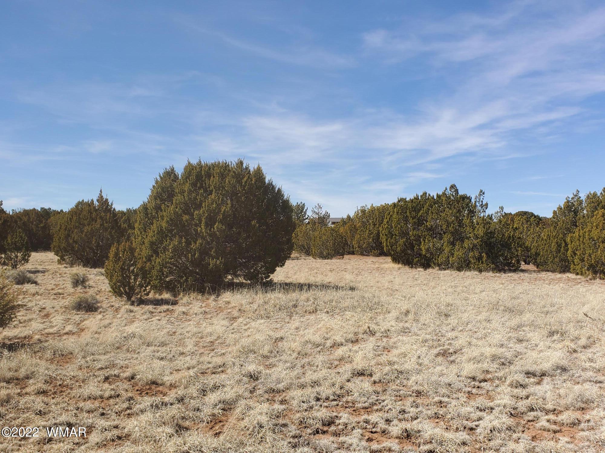 70 County Road Concho, AZ 85924 - Photo 14 of 20