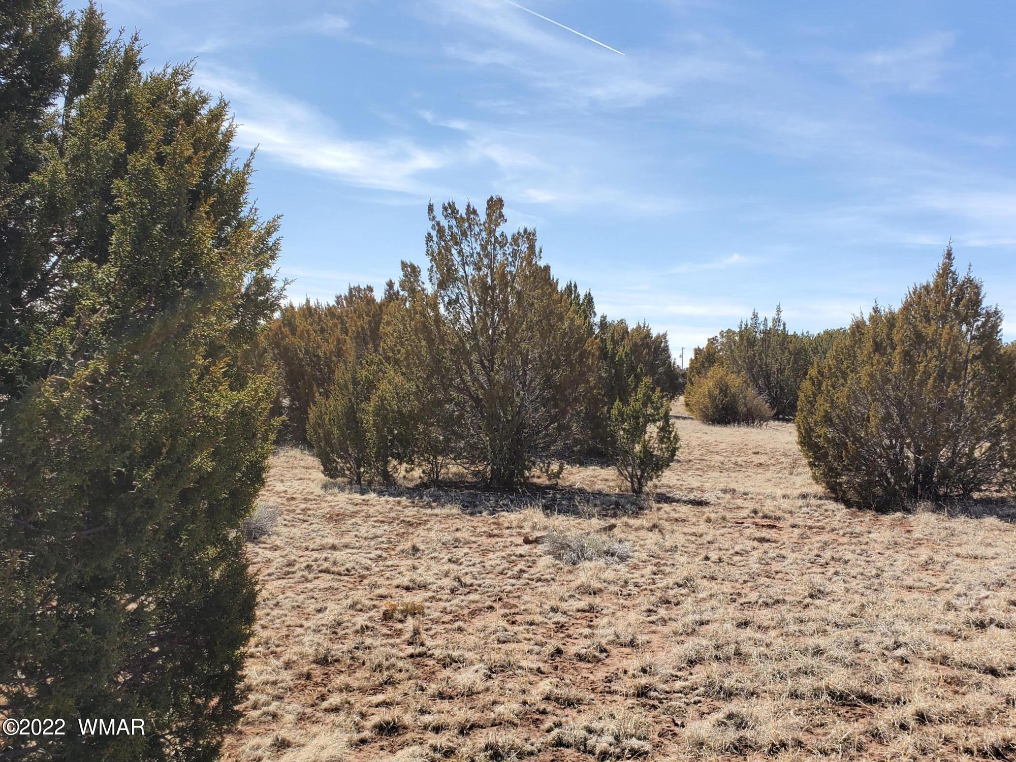 70 County Road Concho, AZ 85924 - Photo 15 of 20