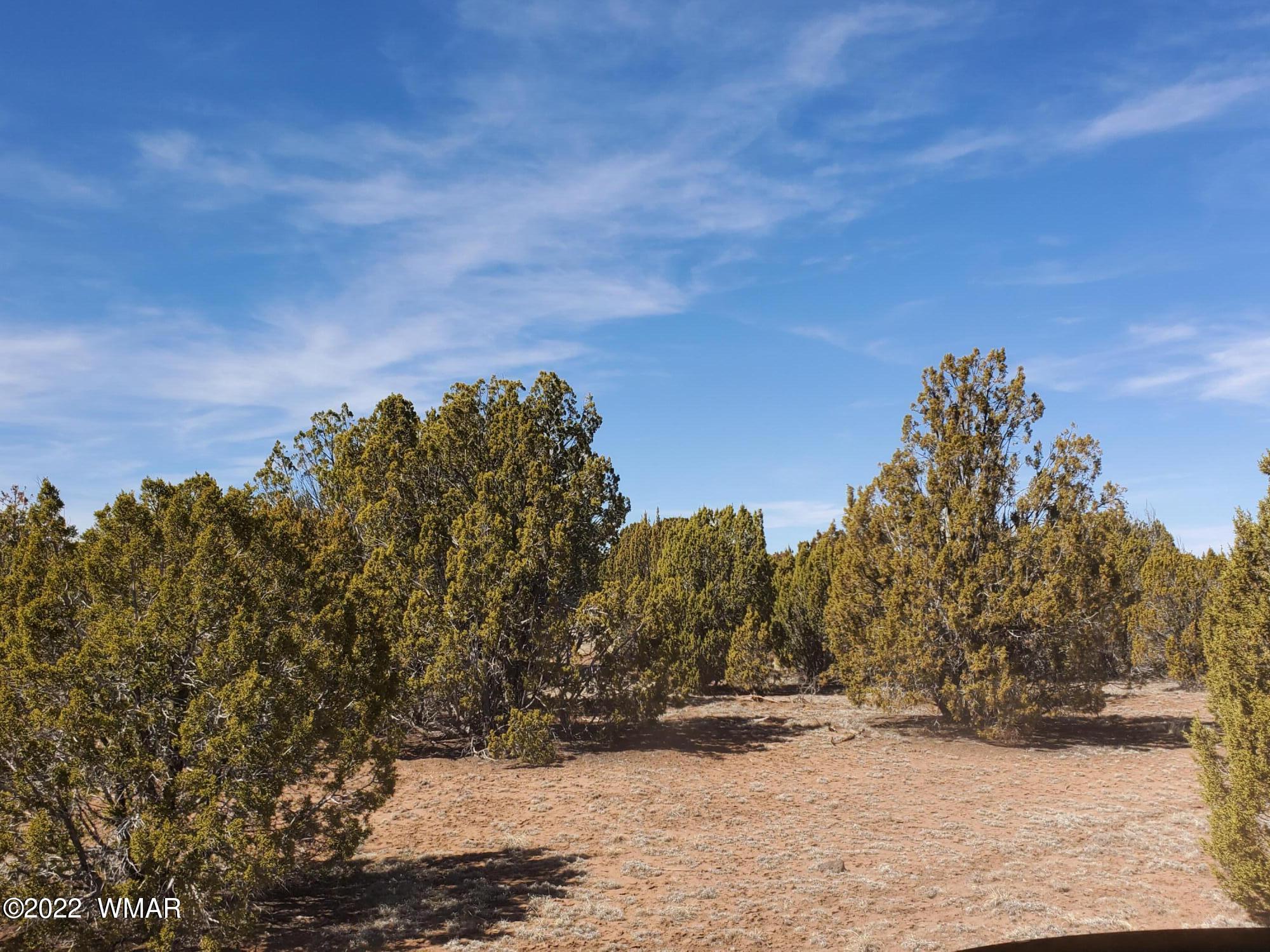 70 County Road Concho, AZ 85924 - Photo 16 of 20