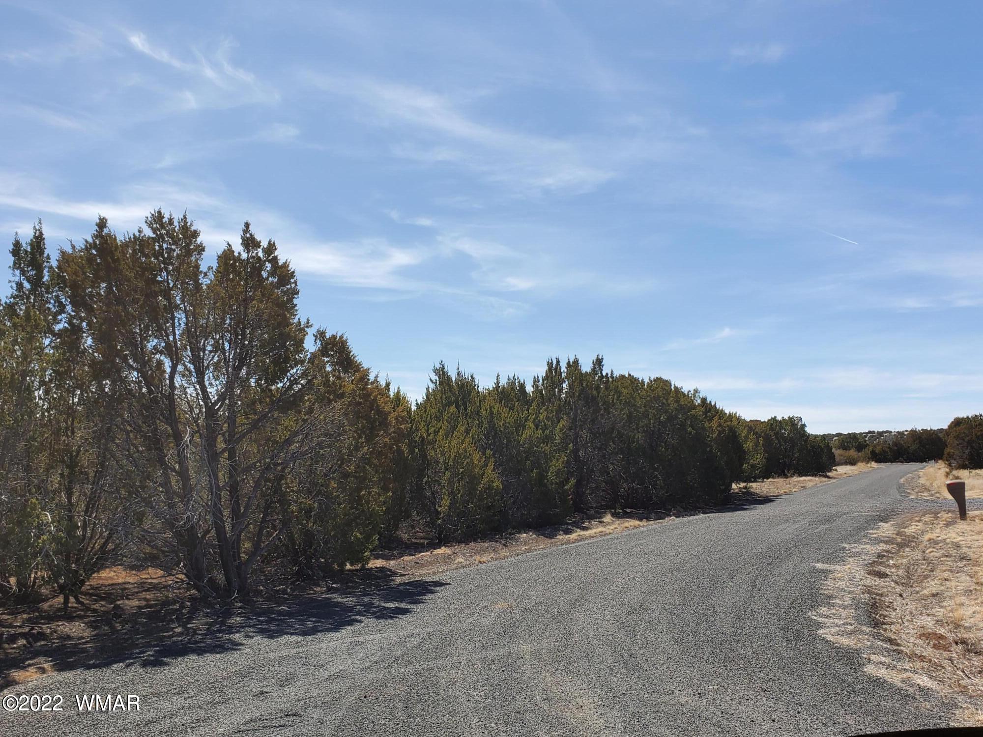 70 County Road Concho, AZ 85924 - Photo 2 of 20