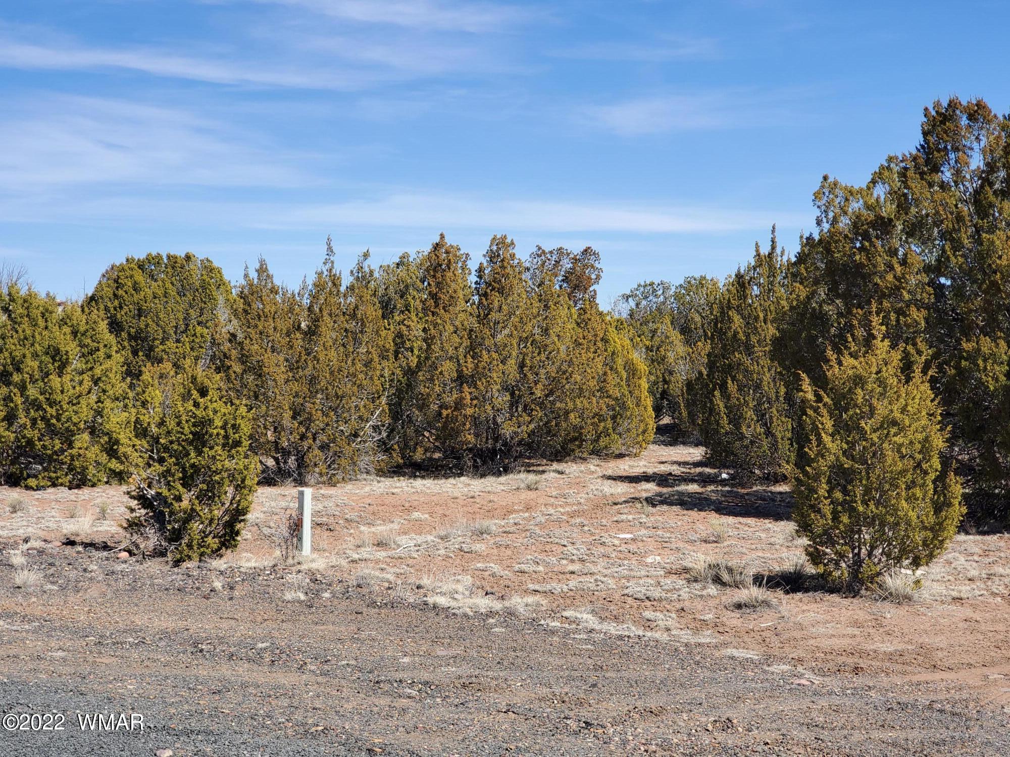 70 County Road Concho, AZ 85924 - Photo 4 of 20