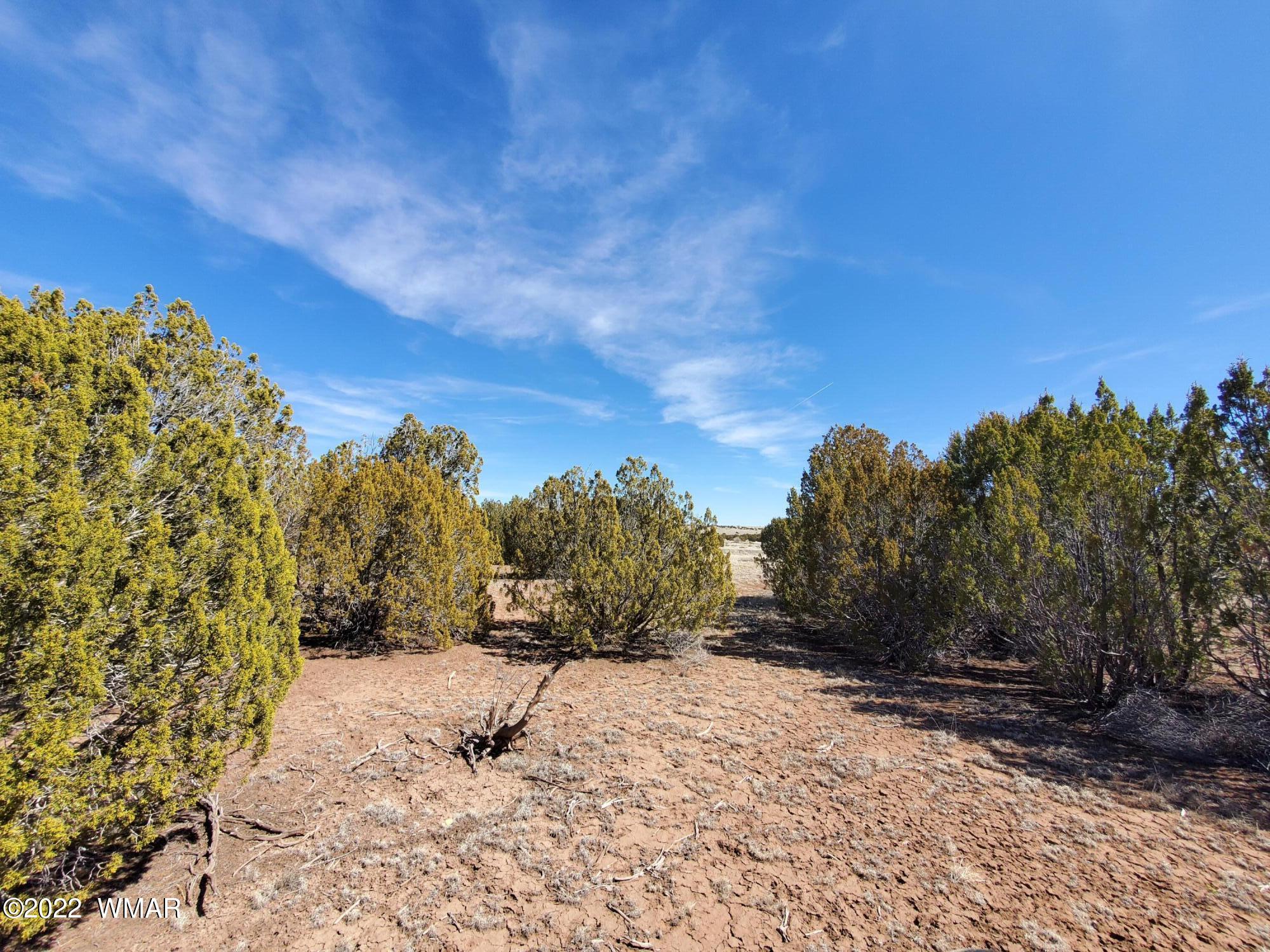 70 County Road Concho, AZ 85924 - Photo 9 of 20