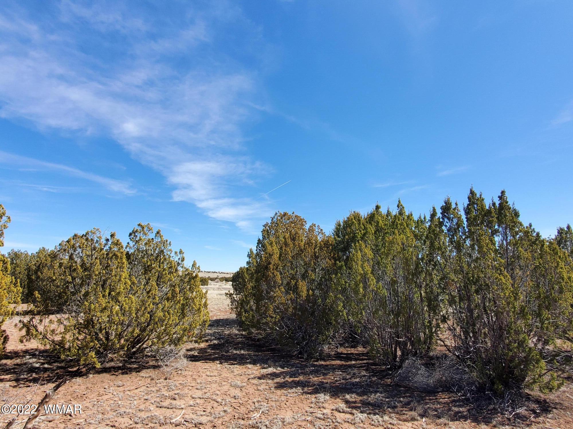 70 County Road Concho, AZ 85924 - Photo 10 of 20
