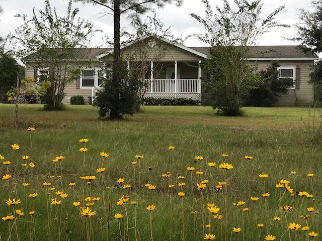 4036 Poverty Creek Road Crestview, FL 32539 - Photo 1 of 24 a front view of house with yard