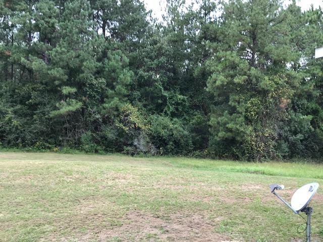 4036 Poverty Creek Road Crestview, FL 32539 - Photo 17 of 24 a view of a lake view