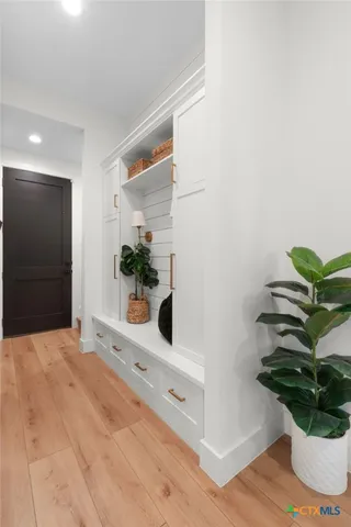 a potted plant sitting in a kitchen next to a bathroom