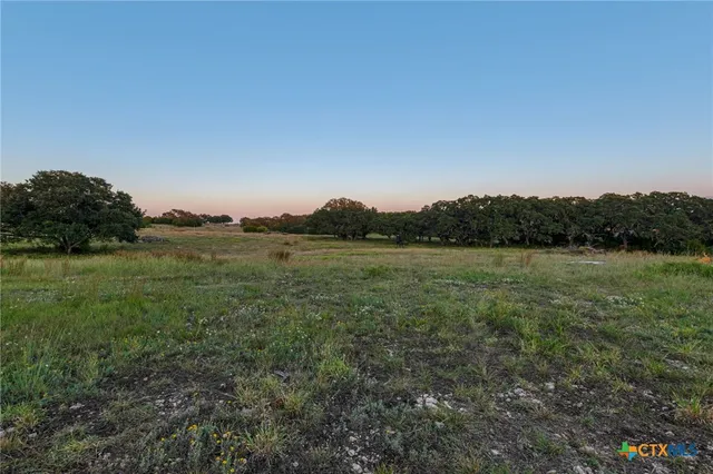 a view of a big yard with plants and large trees