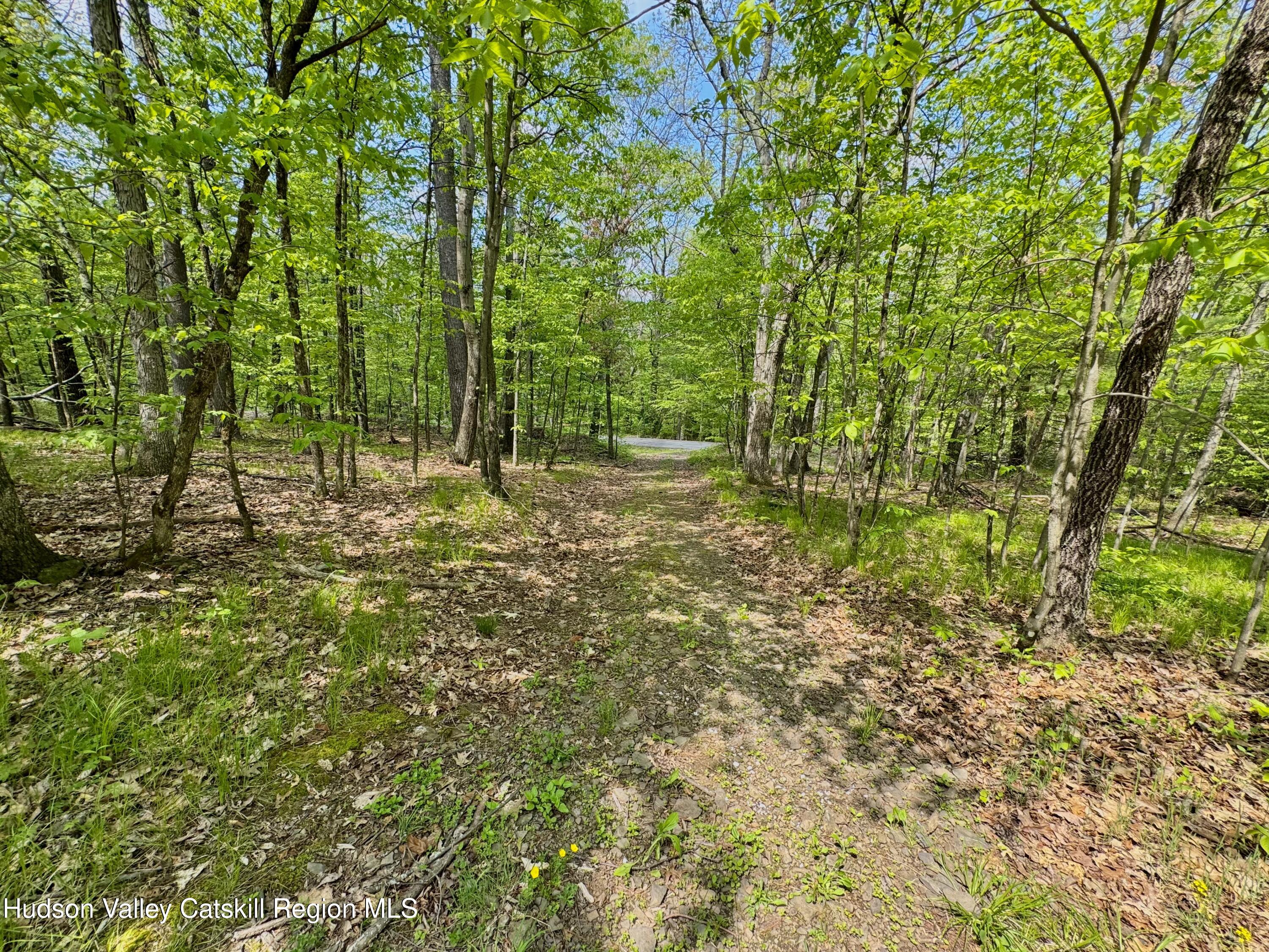 Tbd Bill Matter Road Climax, NY 12042 - Photo 12 of 16 a big yard with lots of green space and trees