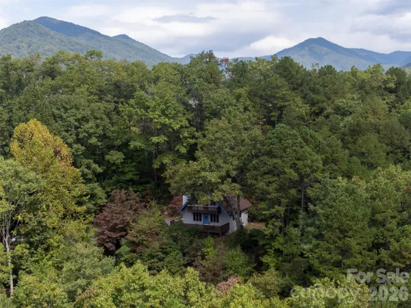 an aerial view of a house with a yard and large trees