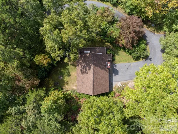 a view of a garden with a tree