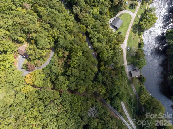 a view of a garden with a tree