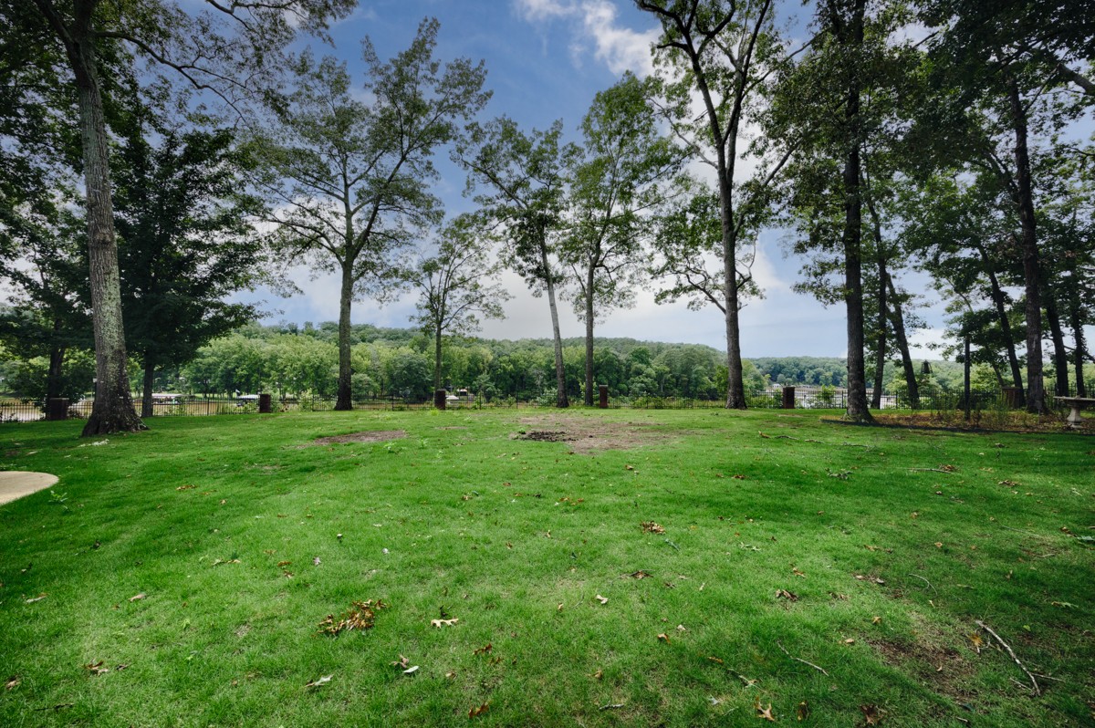 332 Riverfront Road Rogersville, AL 35652 - Photo 41 of 52 a view of a park with large trees