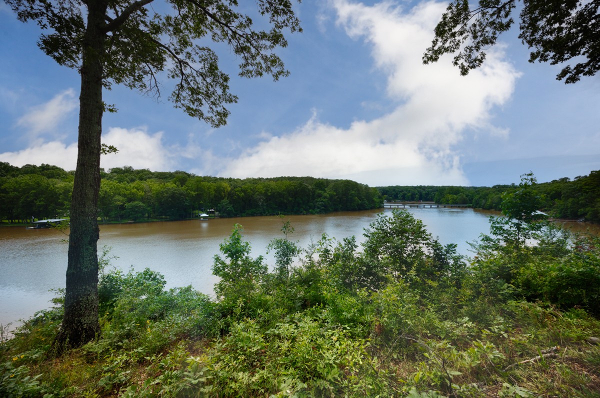 332 Riverfront Road Rogersville, AL 35652 - Photo 42 of 52 a view of lake with green space