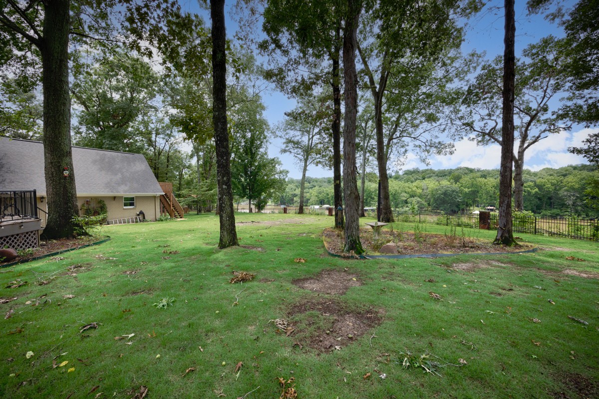 332 Riverfront Road Rogersville, AL 35652 - Photo 44 of 52 a view of backyard with green space