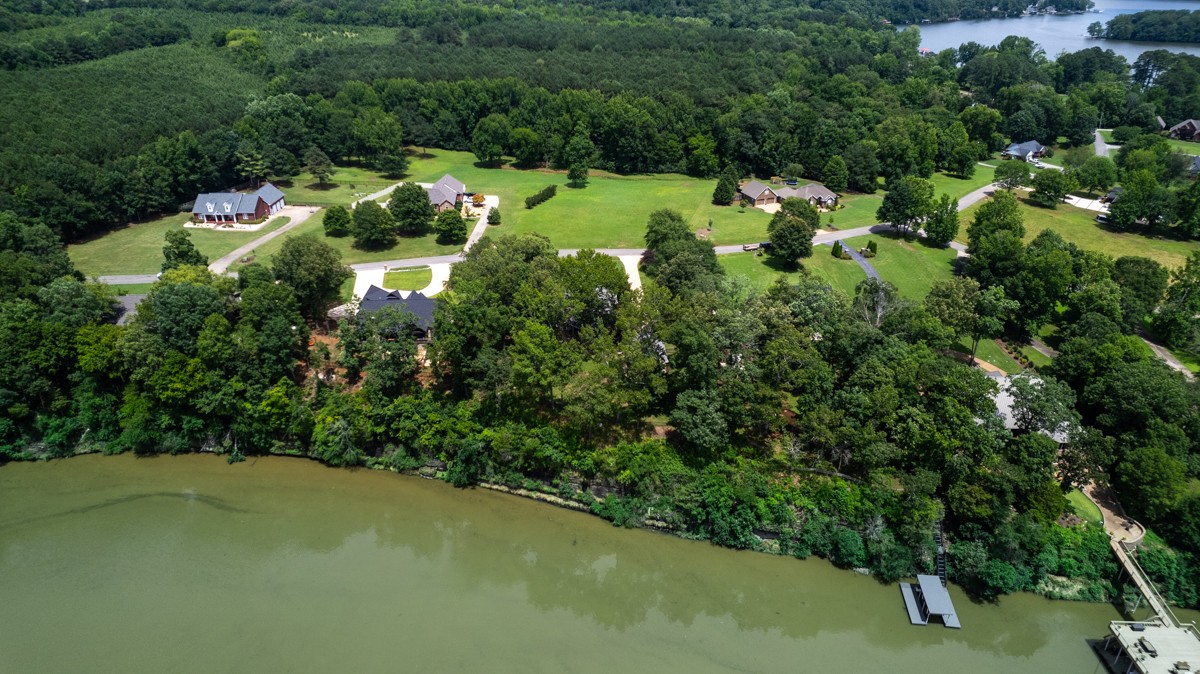 332 Riverfront Road Rogersville, AL 35652 - Photo 50 of 52 a view of a forest with a tree