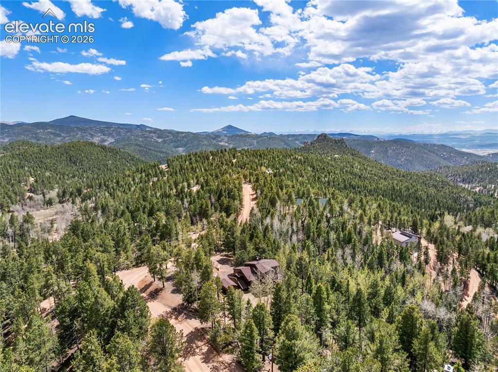 265 Homestead Road Divide, CO 80814 - Photo 41 of 50
