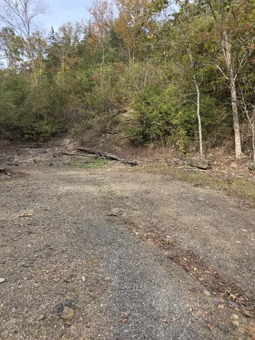 a view of a yard with trees